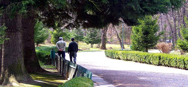 Walking Walking
