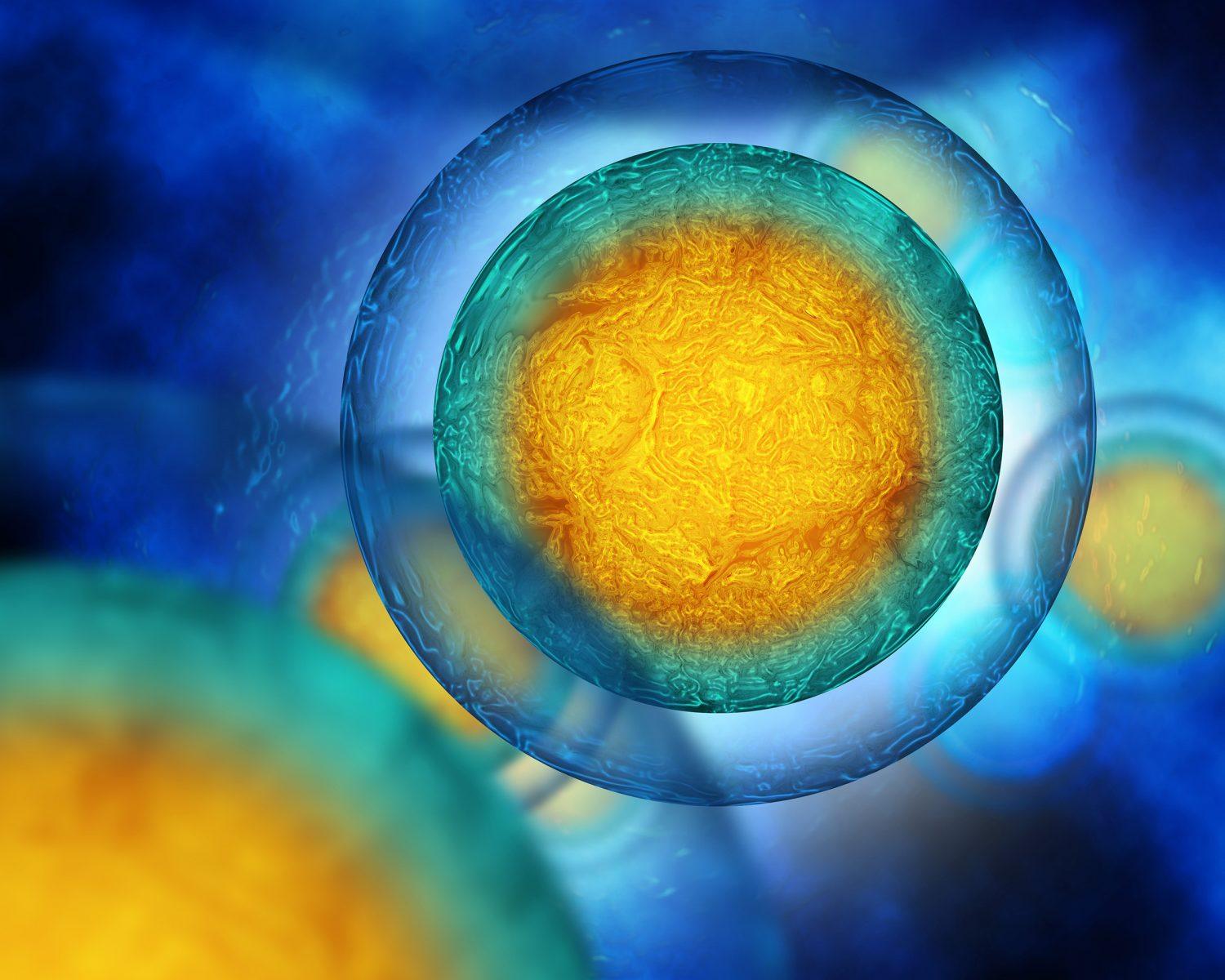 cells cells