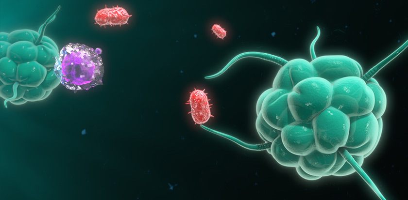 immune-system immune-system